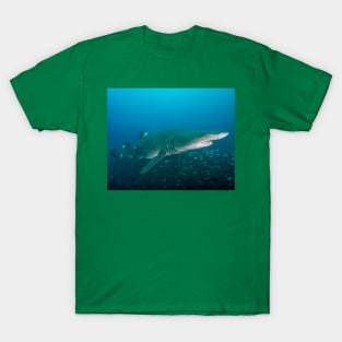 Sand Tiger Shark in the Outer Banks T-Shirt